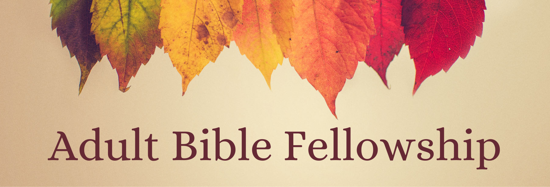 Adult Bible Fellowship